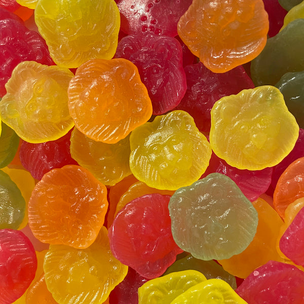 1kg Frisia leeuwenkopjes (vegan)