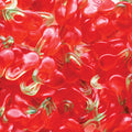 1kg Haribo dubbel-kersen