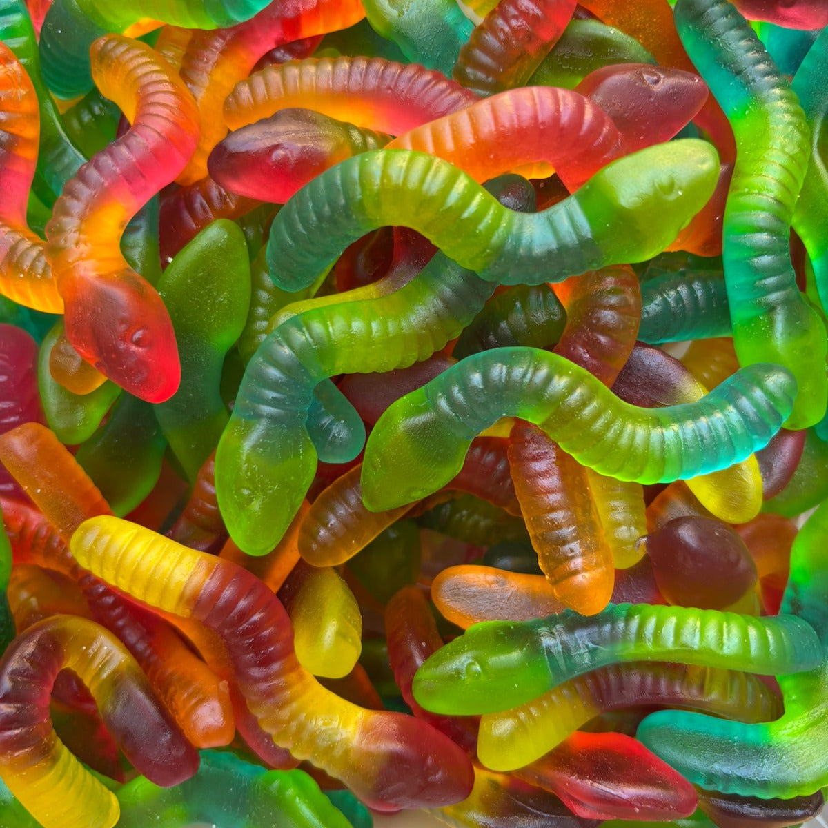 1kg Frisia gekleurde gloeiwormen