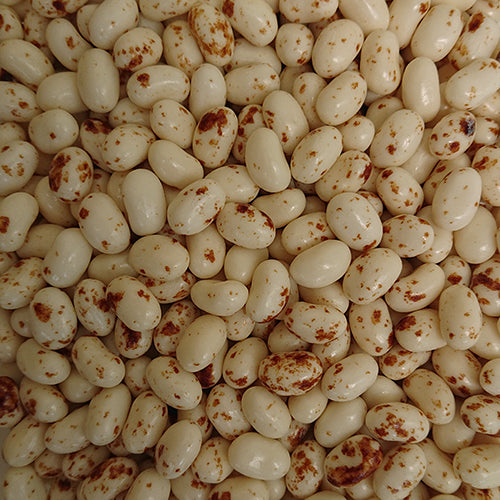 Toasted Marshmallow 500g